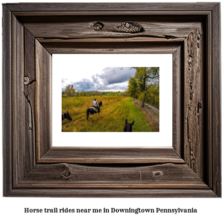 horse trail rides near me in Downingtown, Pennsylvania